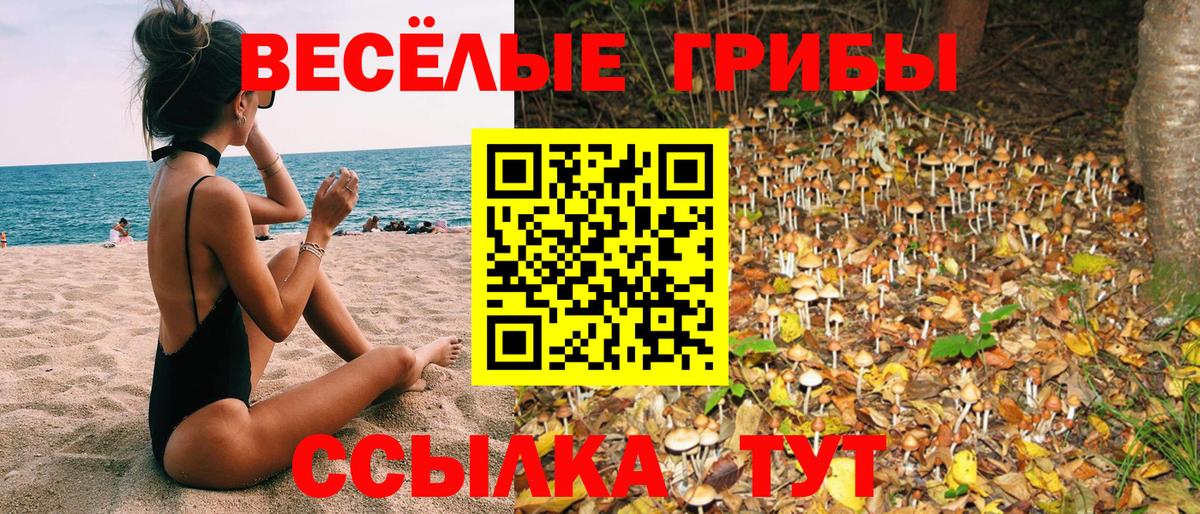 Псилоцибиновые грибы мицелий Химки