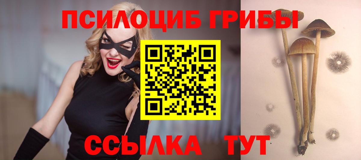 Химки  Псилоцибиновые грибы мухоморы  Вход с VPN 